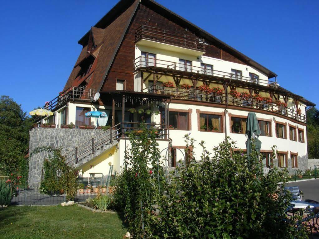 Bran Belvedere International Kültér fotó